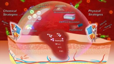 Иллюстрация мультимодальных стратегий заживления ран, объединяющих химические и физические воздействия.