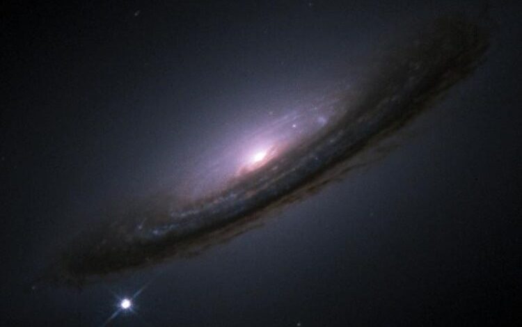 SN1994d