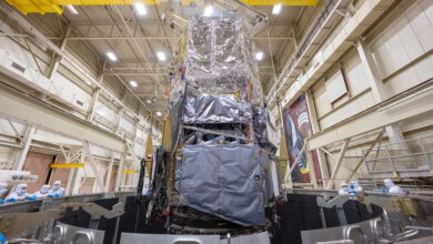 Нэнси Грейс Роман