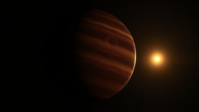 Крупный план одинокого коричневого карлика