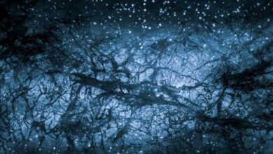 темная материя