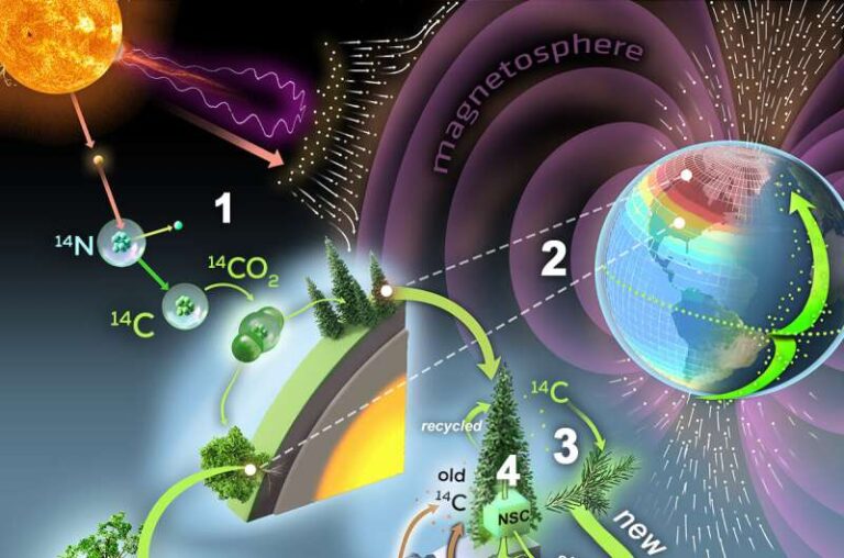 Путь изотопа углерода-14