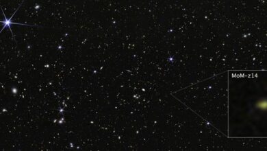 Галактика COSMOS Field MoM-z14