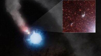 Художественное изображение WR 112