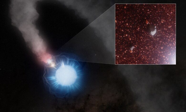 Художественное изображение WR 112