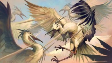 стимфалийские птицы