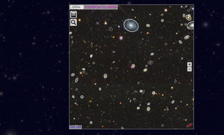 каталог REGALADE