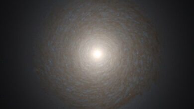 Галактика NGC 1387.