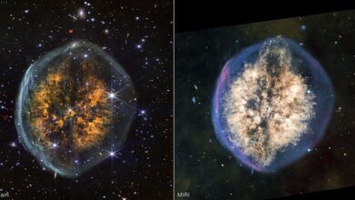 туманность PMR 1