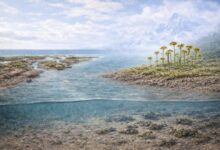 Ранние наземные растения