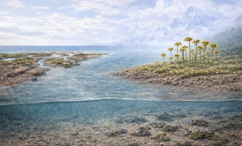 Ранние наземные растения