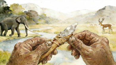 Процесс изготовления орудий в Сигоу