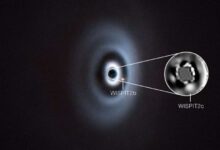 зарождение планетной системы возле молодой звезды WISPIT 2.