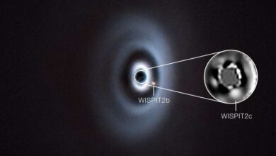 зарождение планетной системы возле молодой звезды WISPIT 2.