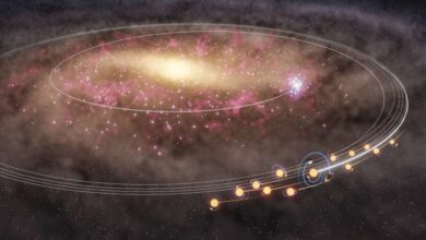 Массовая миграция звезд-близнецов.