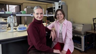 Исследователи нашли ключевое различие в белках при болезни Альцгеймера