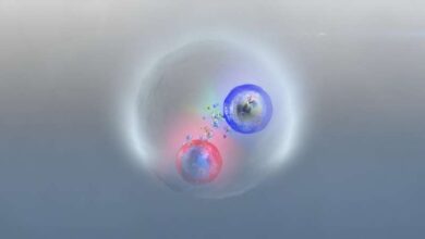 Художественное изображение топония.