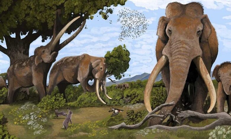 Palaeoloxodon antiquus