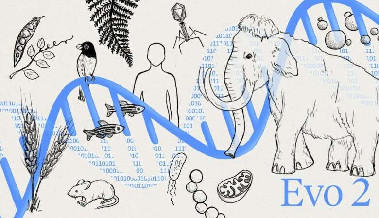Evo 2