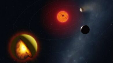 Художественное изображение L 98-59 d