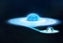 Гамма Кассиопеи