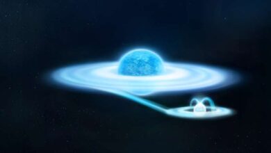 Гамма Кассиопеи