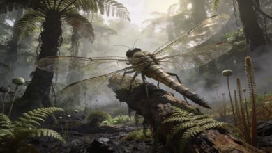 Древняя Пангея, каменноугольный период. Гигантская стрекоза сидит на стволе папоротника