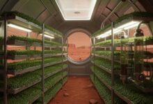 Футуристическая теплица на поверхности Марса.