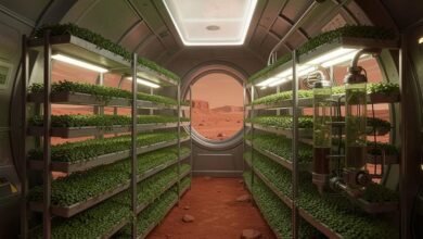 Футуристическая теплица на поверхности Марса.