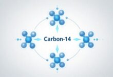 углерод-14