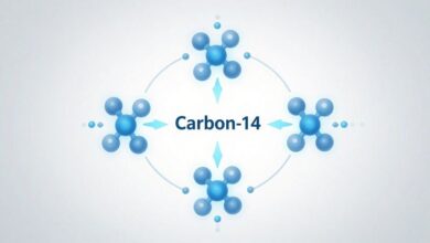 углерод-14