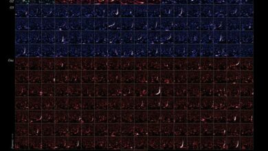 Каталог гравитационно-волновых транзиентов 4.0