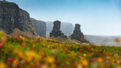 Эндуро туры за Полярный круг