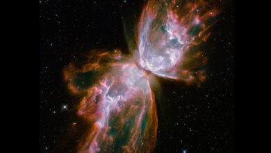 Планетарная туманность NGC 6302, также известная как туманность Жук и туманность Бабочка