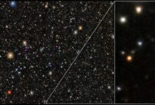 Звезда PicII-503 в ультраслабой карликовой галактике Pictor II