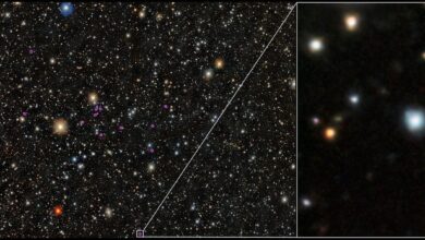 Звезда PicII-503 в ультраслабой карликовой галактике Pictor II