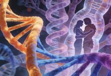 Любовь и геном: как симпатии к неандертальцам повлияли на наши хромосомы