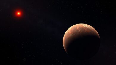 каменистая экзопланета, возле красного карлика