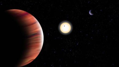 Художественное изображение системы TOI-201