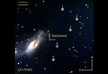 Изображение сверхновой SN 2024abfl