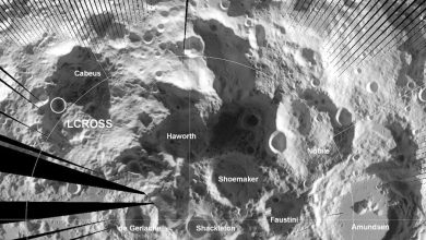 Кратеры вблизи Южного полюса Луны