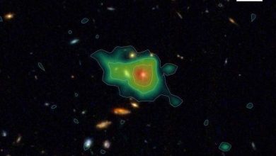 Огромное гало из водорода