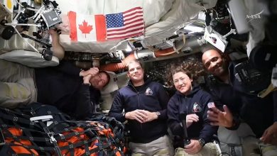 Экипаж миссии «Артемида II»