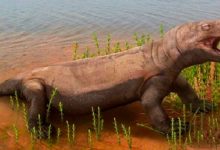 Реконструкция вяткозуха