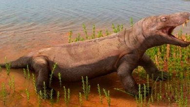 Реконструкция вяткозуха