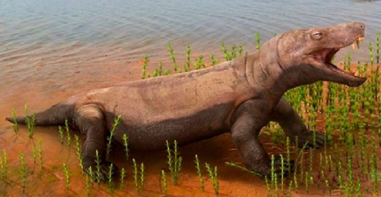 Реконструкция вяткозуха