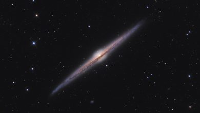 NGC 4565