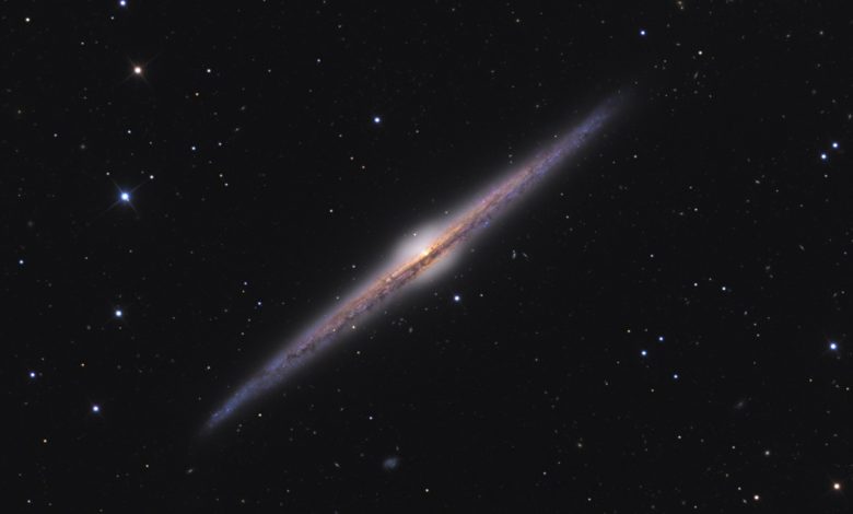 NGC 4565