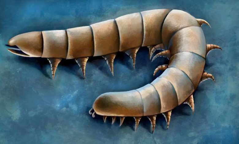 Реконструкция Waukartus muscularis