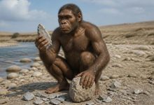Ранний Homo erectus
